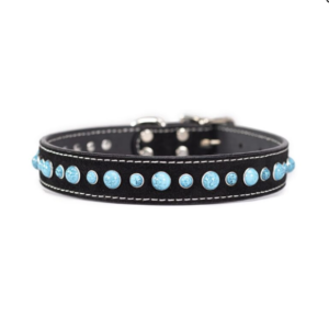 Cabachon Collar 5/8x12" Turquoise